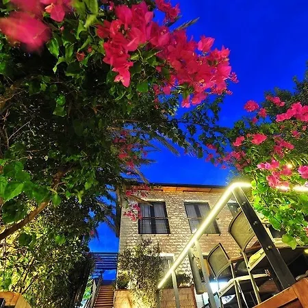 Gizia 5 Guest house *
