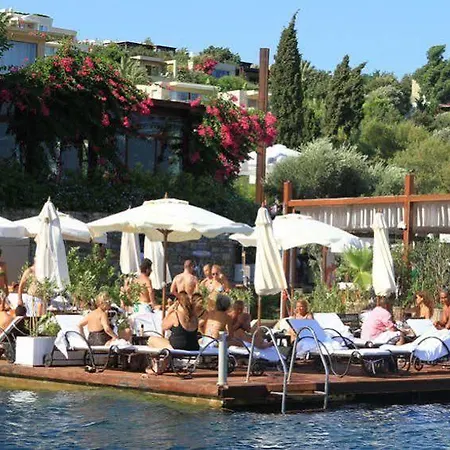 Gizia 5 Guest house