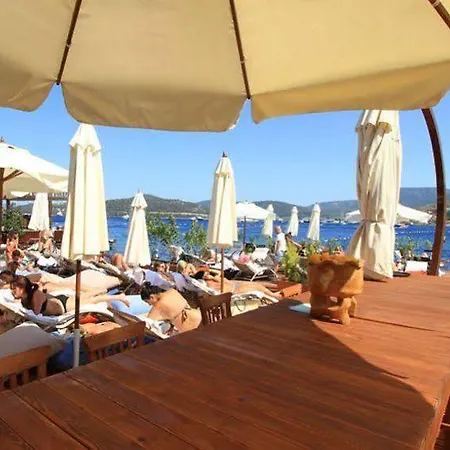 Guest house Gizia 5 *