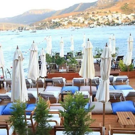 Gizia 5 Guest house