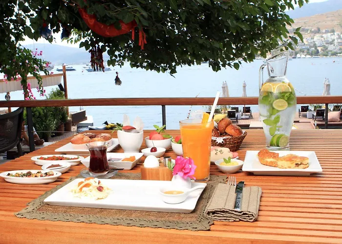 Gizia 5 غولتوركبوكو